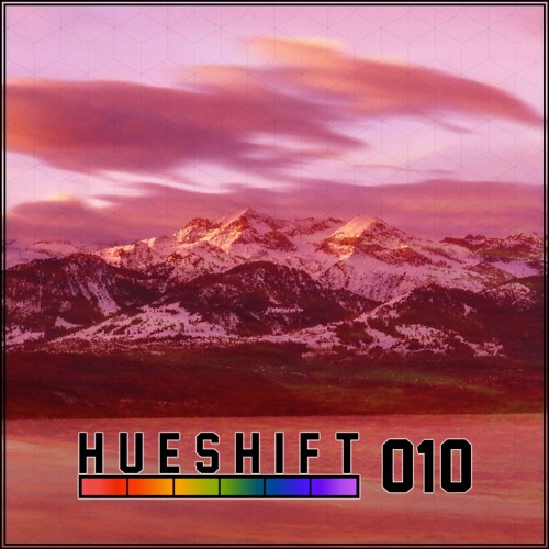 010 - Endurance cover