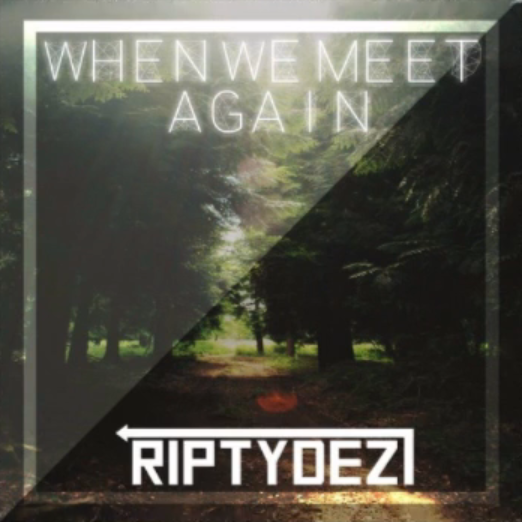 When We Meet Again cover art