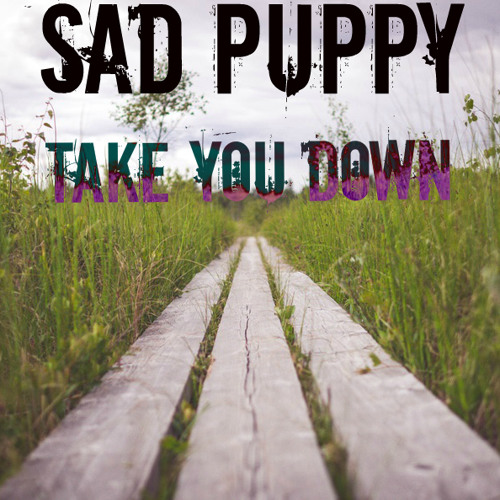 Take You Down cover art